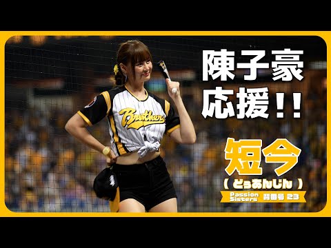 陳子豪應援!! 阪神コラボユニver. 短今（Sammie）サミー Passion Sisters 中信兄弟啦啦隊 臺中洲際棒球場 2023/06/11【台湾チアTV】