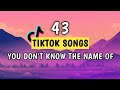 Top 43 tiktok songs you dont know the name of 2023