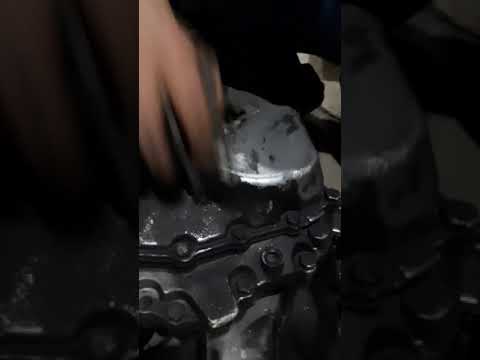 طريقه الكشف على فتيس لانوس الاستيراد قبل الشراء مع ابراهيم الخراط ت ٠١٢٨٣٦٣٩٠٩٦ بشبرا مصر