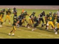 Lions #15 TD