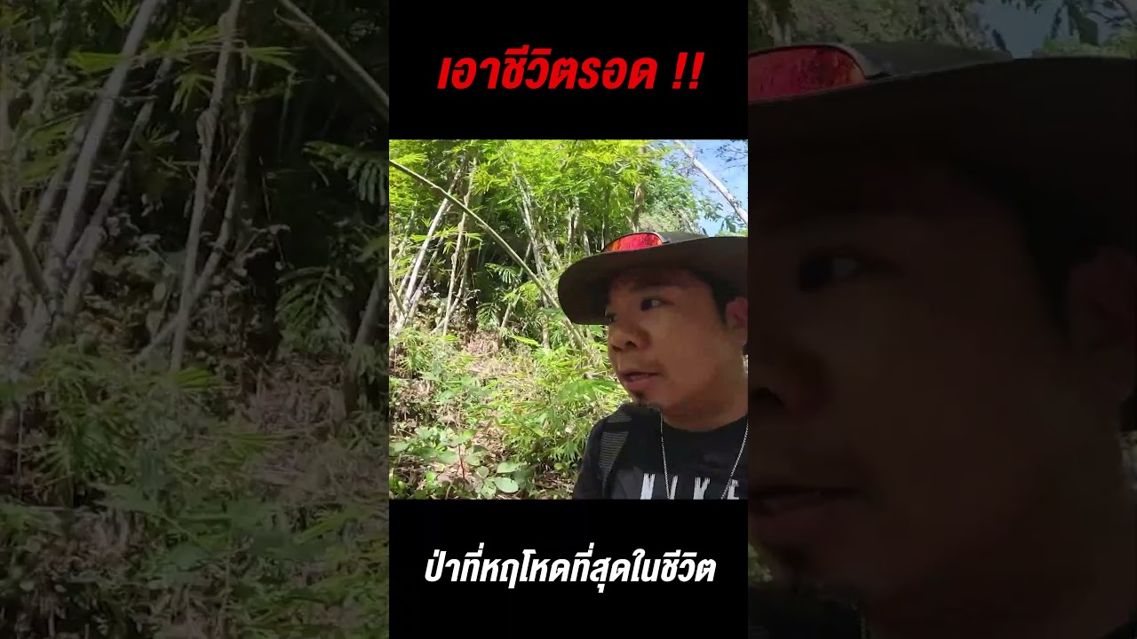 ระทึกใจ! เอาชีวิตรอดในป่าที่หฤโหดที่สุดในชีวิต