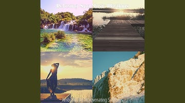 Extraordinary Koto and Strings - Vibe for Insomnia