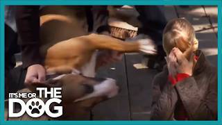 The Heartbreaking Moment That Brings Victoria to Tears | It's Me or The Dog
