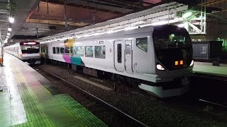 E257系 長モトM-107編成 立川駅発車 '19.05.03