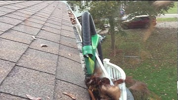 The Gutter Viper:  Clean Gutters, No Ladder