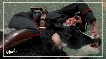 Foo Fighters-For All The Cows (ESP/ENG)