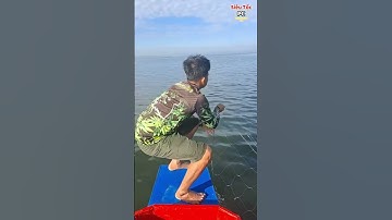 Giăng lưới bắt dính cá bông lau 10 kg trong hồ nước lớn  #batca #fishing #giangluoi