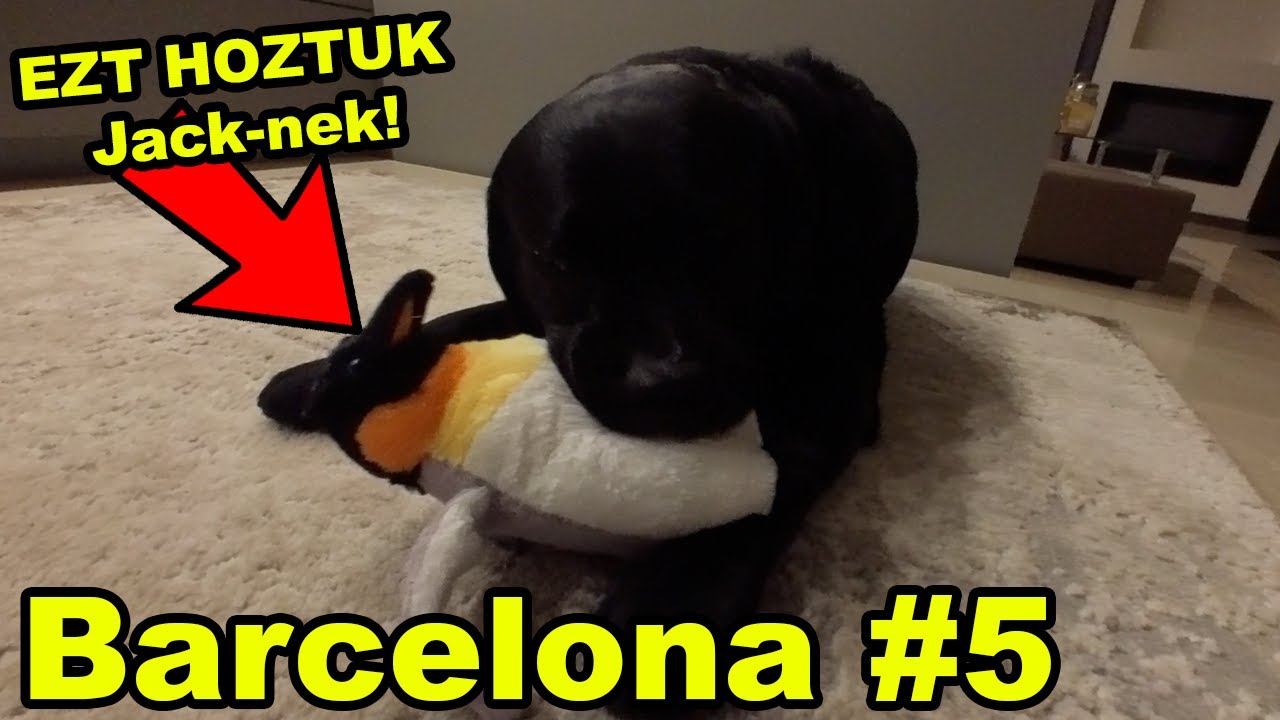 EZT hoztuk Jack-nek Barcelónából! Utolsó nap... | Barcelona VLOG 5. rész