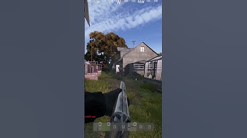 Double Barrel Double Kill #dayz #gaming