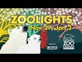 Join us for Zoolights!
