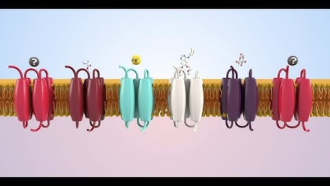 RESOLUTE intro video