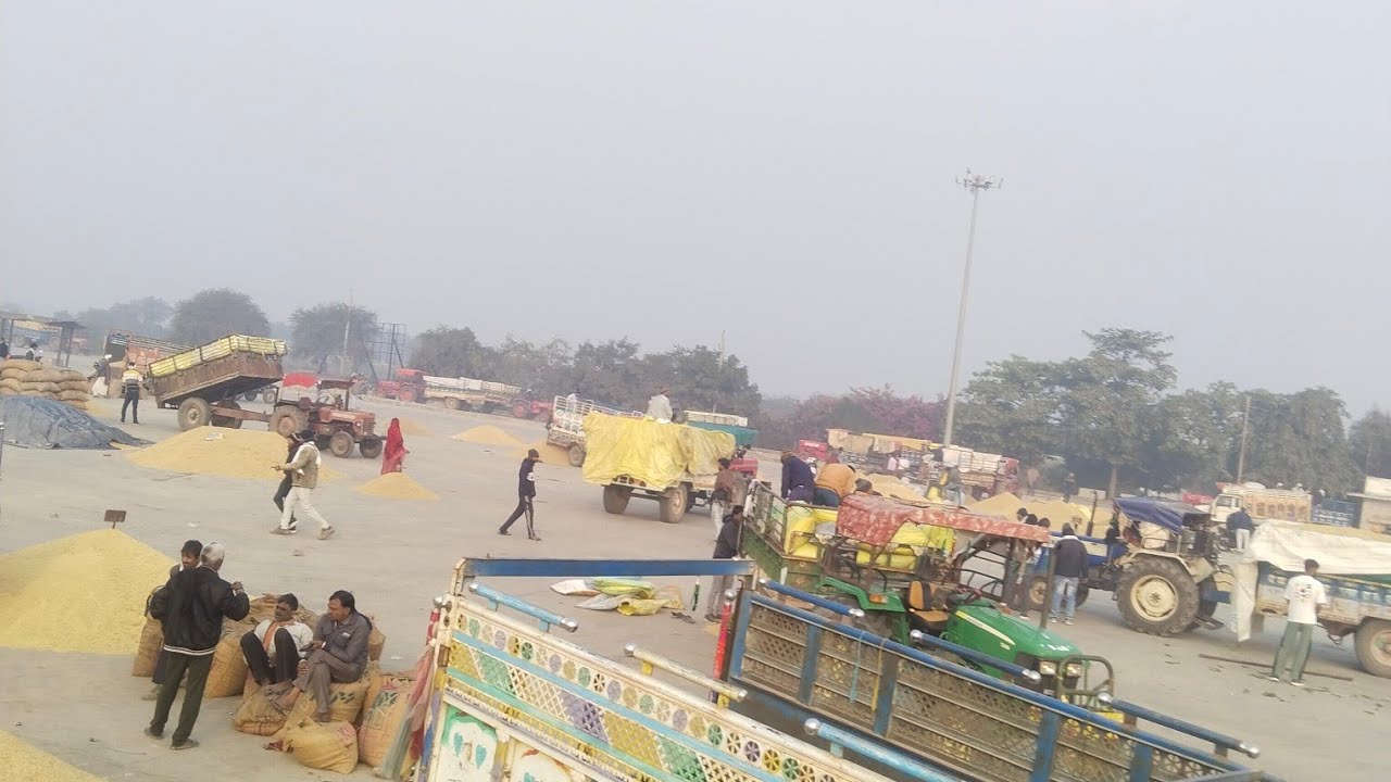 Suresh yadav  is live! Bundi धान मंडी Bundi Rajasthan 😍