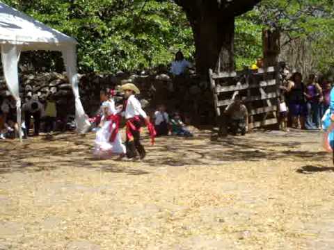 Flor de Naranjo Sta Cecilia Que lindas que son las...