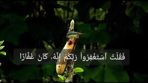 " فَقُلۡتُ ٱسۡتَغۡفِرُواْ رَبَّكُمۡ إِنَّهُۥ كَانَ غَفَّارٗا " القارئ اسلام صبحى