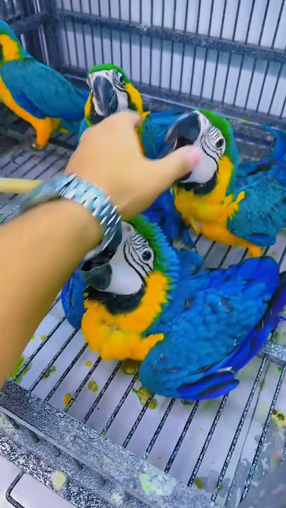 🥰00923135094196whatup