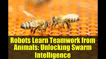 Robots Learn Teamwork from Animals: Unlocking Swarm Intelligence
