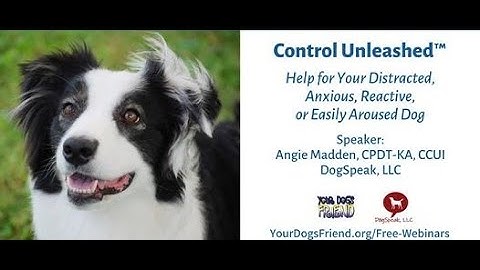 "Control Unleashed" – help for your distracted, anxious, reactive, or easily aroused dog 2-5-2022