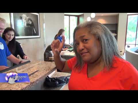 სასტუმროები შინაური ცხოველებისთვის