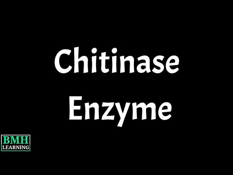 Video: Kas yra chitinazės fermentas?