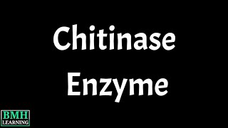 Chitinase Enzyme | Chitin Degrading Bacteria | Chitinolytic Bacteria | Chitinolytic Microorganisms |