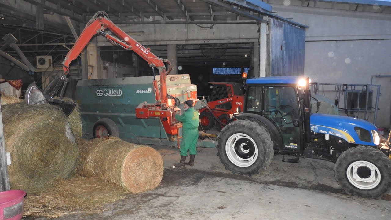 Pulizia,mungitura e preparazione unifeed a secco NO SILAGE. New Holland + Giglioli. [Az.Agr.Bufo].