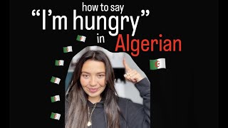 how to say "I'm hungry" in Algerian 🇩🇿 | Speak Algerian