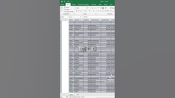 Elimina varias filas en Excel al mismo tiempo