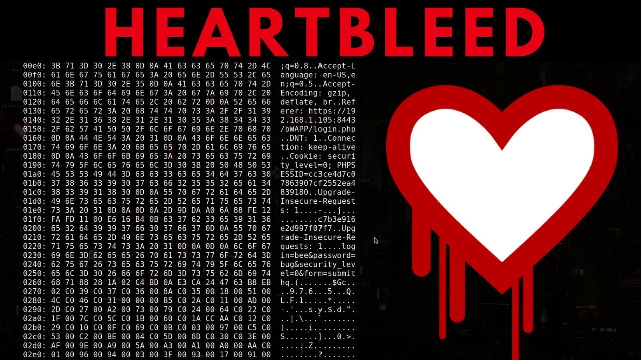 heartbleed New Heartbleed Exploit - Khám phá \u0026 Khai thác