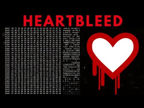 Heartbleed Exploit-발견 및 악용