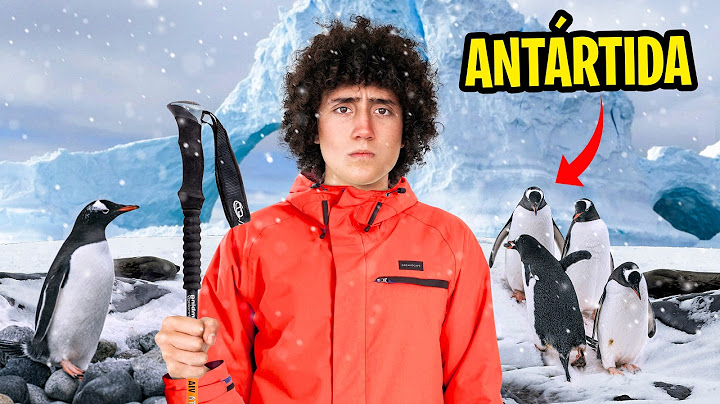 ASI VIVEN LOS PINGUINOS EN UN ACUARIO   🧊