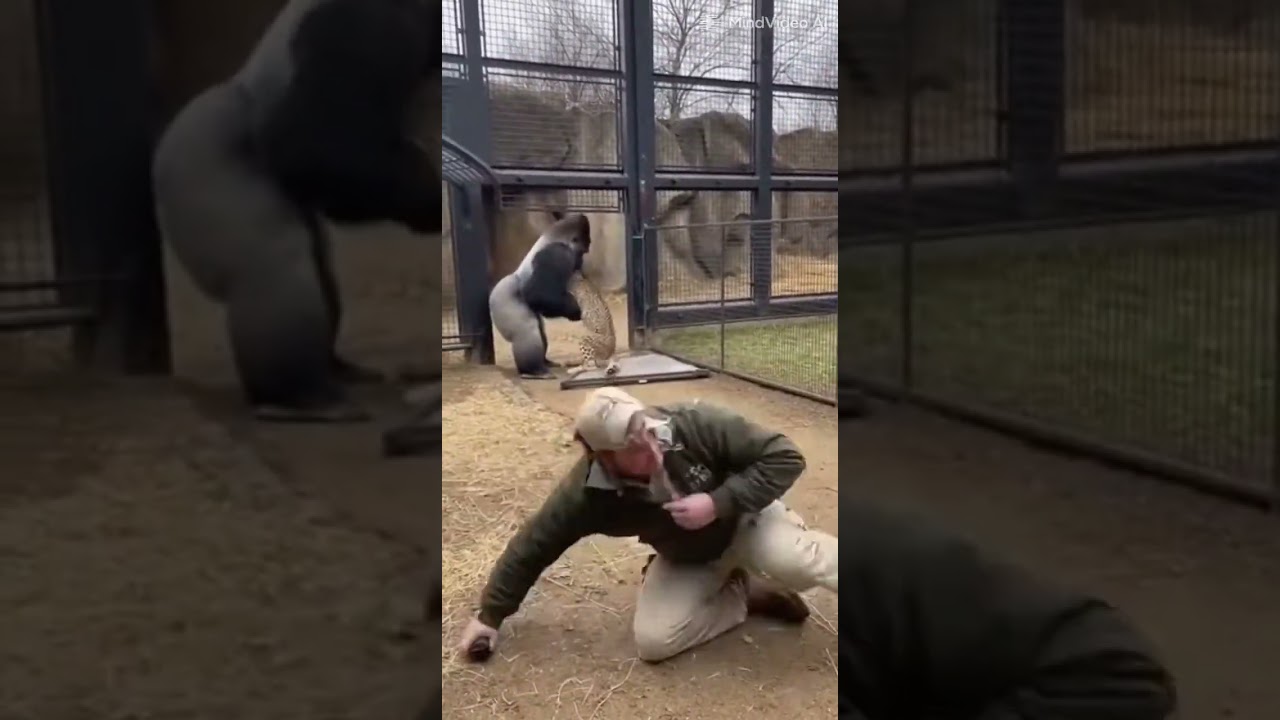 what happened next nobody saw coming