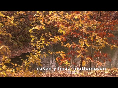 RUŞEN YILMAZ MUTLUMUSUN