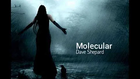 Psychill Ambient Electronic Psybient Ethno-MOLECULAR