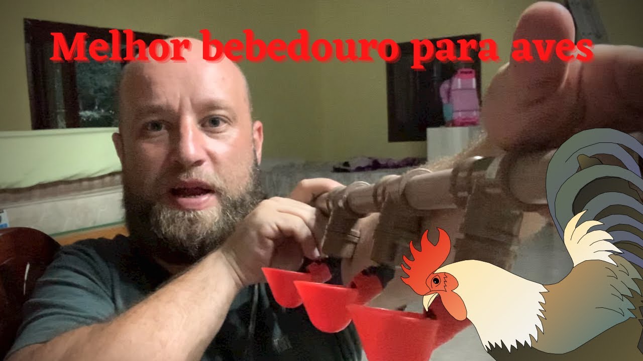 Como FAZER o MELHOR sistema de BEBEDOURO AUTOMÁTICO para GALINHAS.