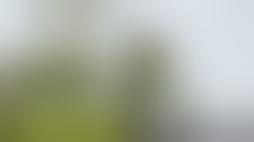 HLG x Method Grow | 4K