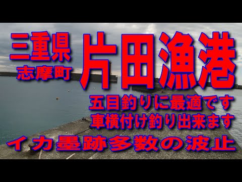 #47三重県片田漁港五目で色々な魚が良く釣れる漁港ですイカのスミ跡が沢山きれいな漁港です車横付け釣り出来ます波止が低いので安全ファミリー家族連れサビキ釣りに良い堤防アジング釣りポイント釣りスポット