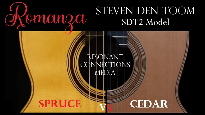 'Romanza' played on 2 Steven den Toom SDT2 model g...