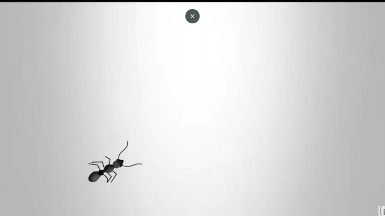 Intro Ant code Oficial - YouTube