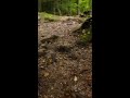 Do esconderijo nazista à atração turística: O destino do Berghof