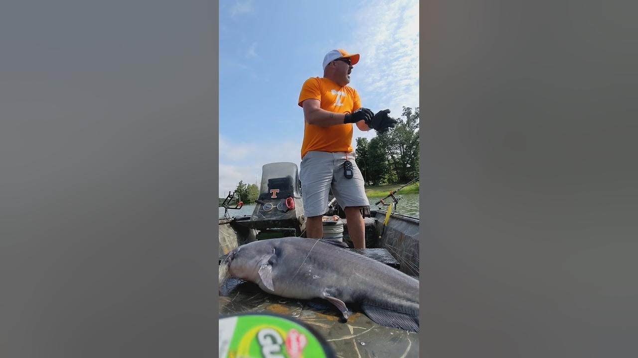 42 lb Gibson county lake YouTube