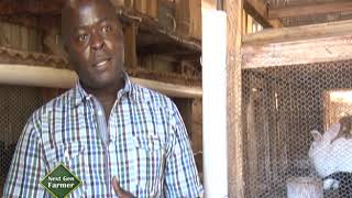 Cashing it big from Rabbit business  Shadrack Mwendwa Part 1