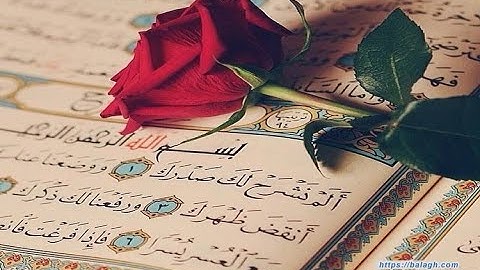 صوت ينسيك الدنيا وما فيها ❤️💙🎧 القارئ امير عادل