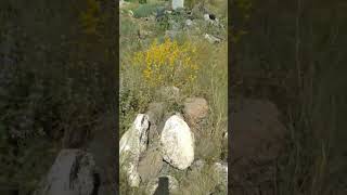 Mezarlık Ziyaretimiz 4.Temmuz