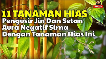 Merinding ! 11 Tanaman Hias Pengusir Jin dan Setan