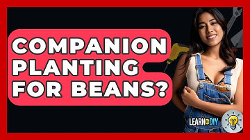 Companion Planting For Beans? - LearnToDIY360.com