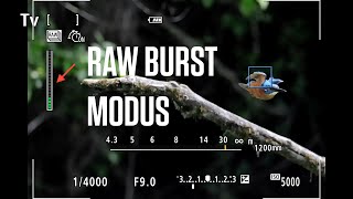 Canon Academy Quick-Tipp: RAW-Burst screenshot 4