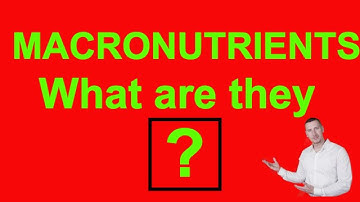 What Are Macronutrients? (Macros Part 1)