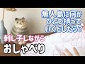 【おしゃべり動画】無人島に何かひとつ持っていくとしたら/刺し子をしながら/ sashiko