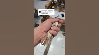 SIKATAN LONDO MUNCUL LAGI DI MBRK HARGA TERMURAH DI INDONESIA(2)