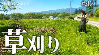 【草刈り】大量の草で地面が見えない庭が見違えるほど綺麗に! #431